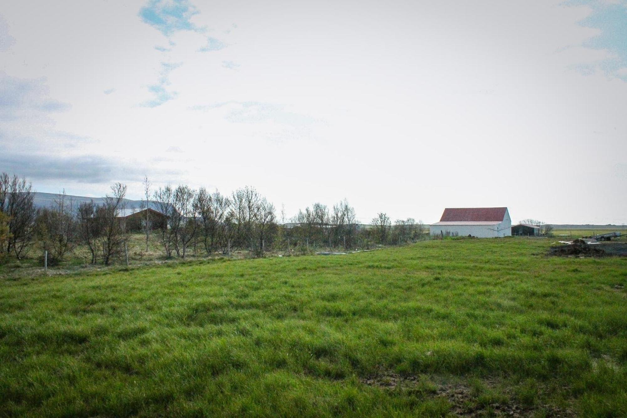 Sun-Cottage South Iceland Olfus ภายนอก รูปภาพ